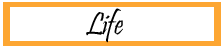 bloggerslife1