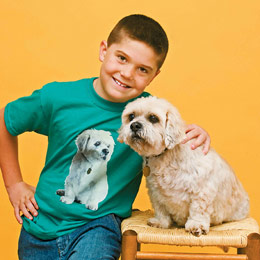 fashion-pet